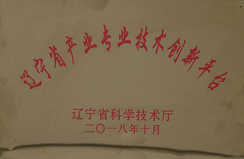 5遼寧省產(chǎn)業(yè)專業(yè)技術(shù)創(chuàng)新平臺.jpg